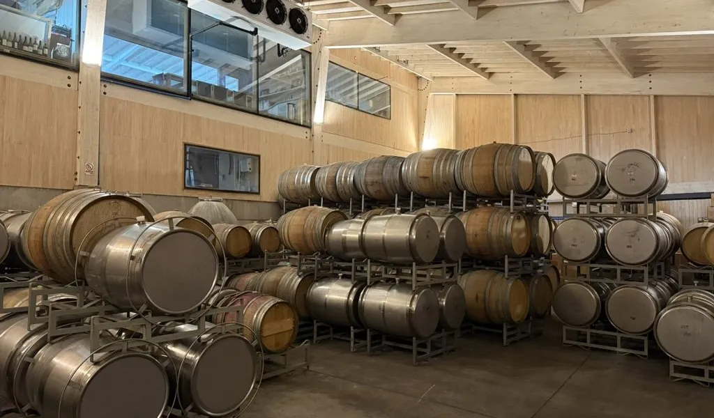 Stainless steel tanks and oak barrels stacked in a bright, wood-paneled cellar