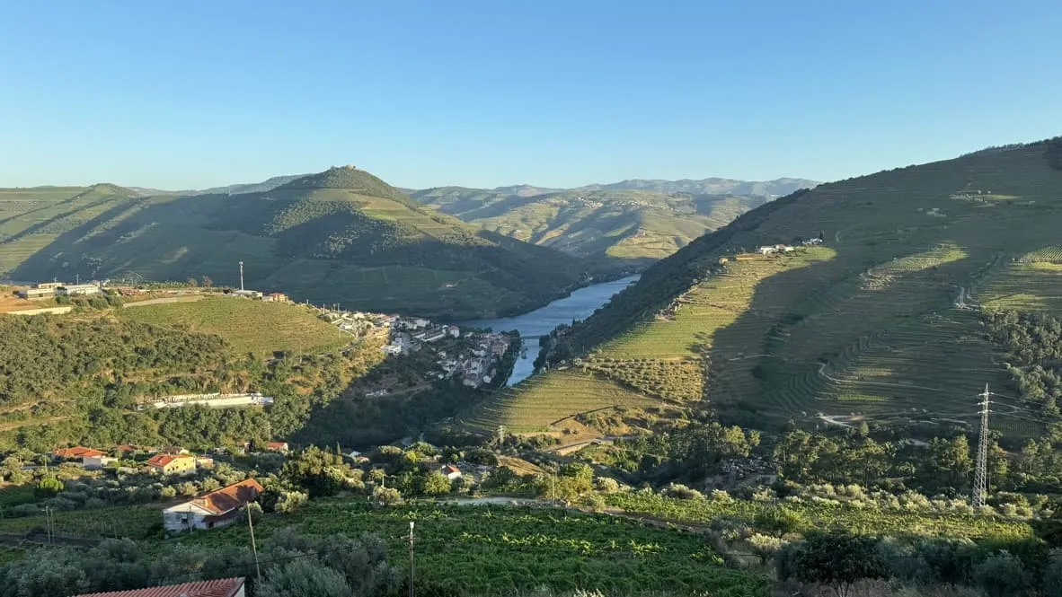A river winding through a green valley lined with vineyards