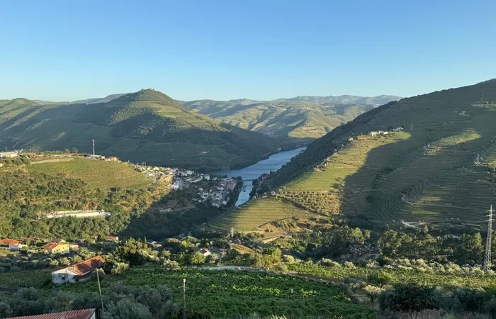 Terraced vineyard hillsides above a river valley at sunset
